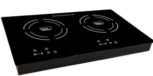 True Induction Double Burner