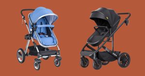 What Stroller is Best for Disney World?